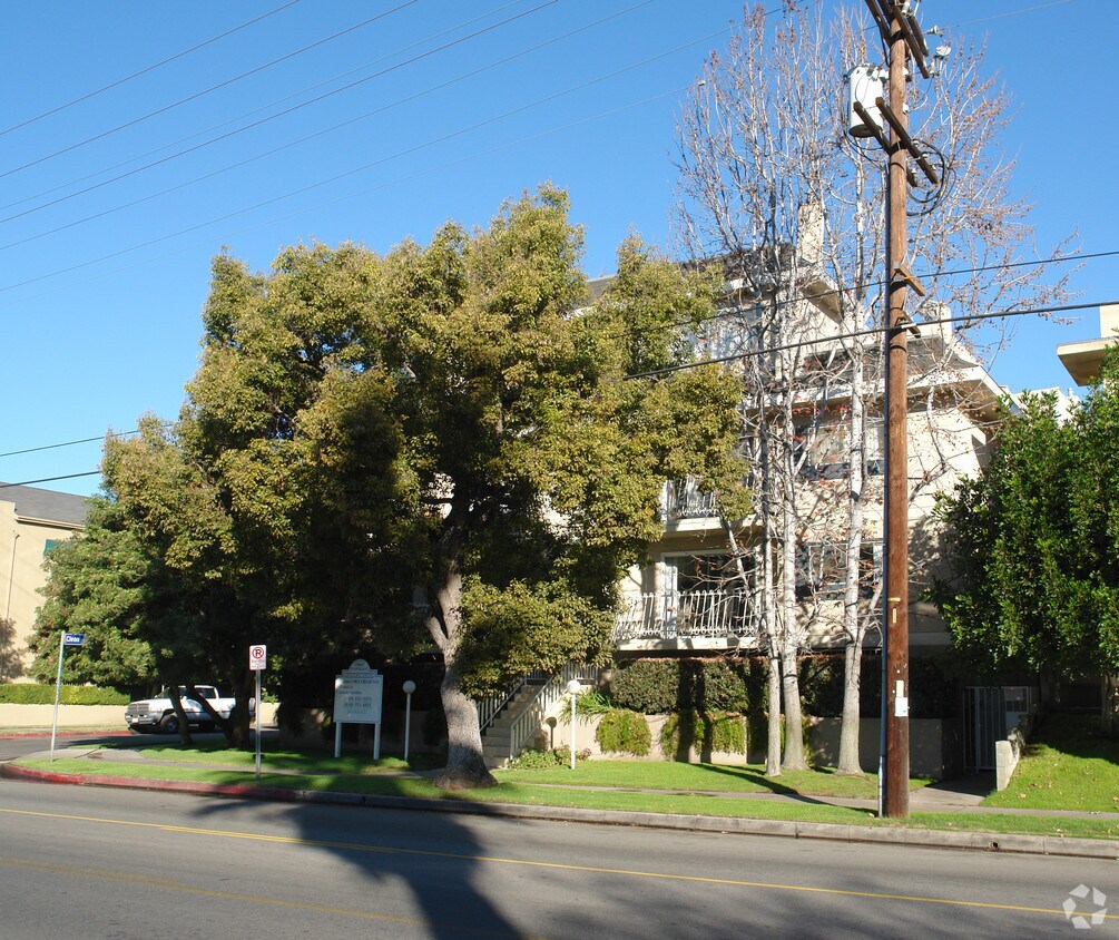 árbol obstsruction - 10853 Camarillo St