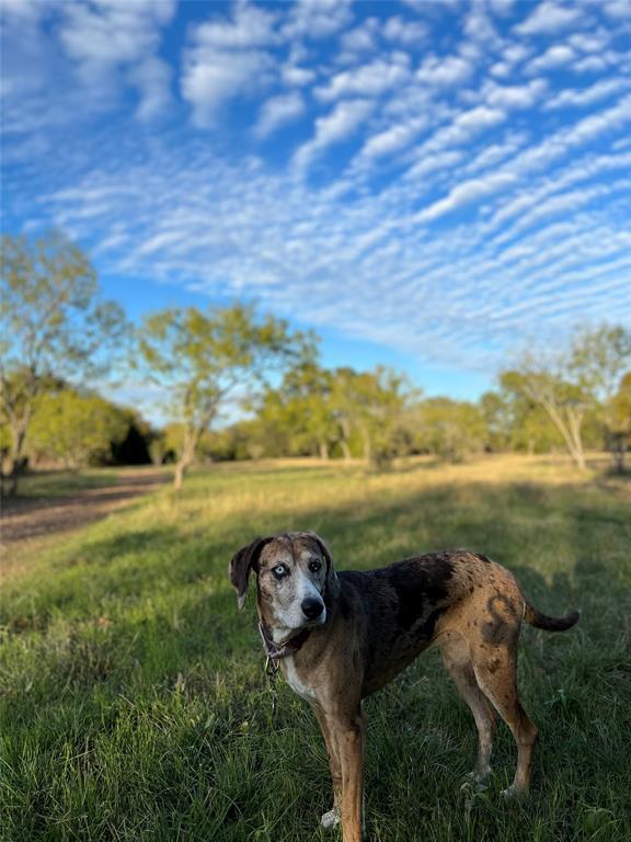 Foto del edificio - 1049 Sunflower Trail