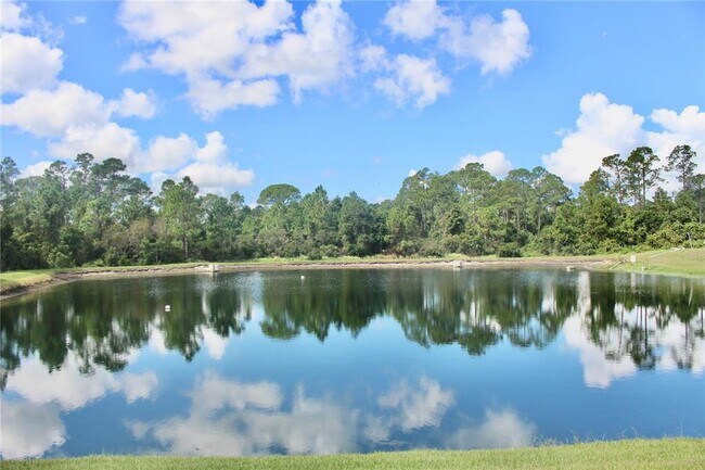 Building Photo - 1352 Coriander Dr
