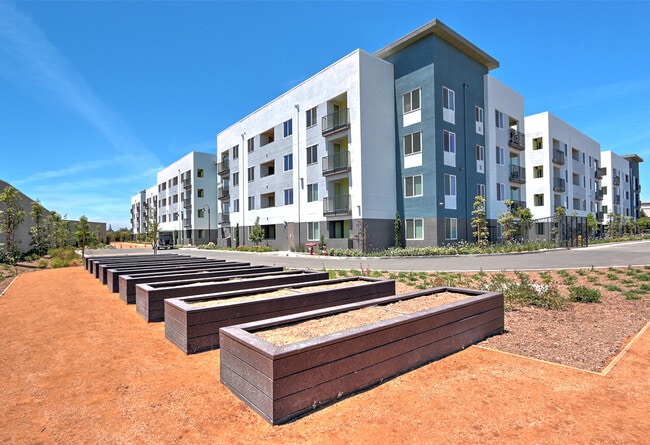 Building Photo - Charlotte Park