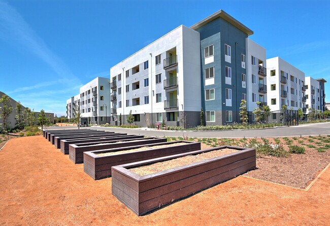 Foto del edificio - Charlotte Park