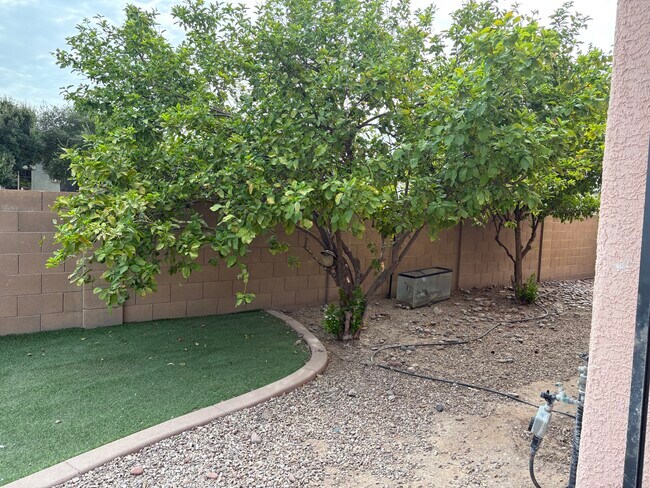 Building Photo - 7648 W Creosote Spring Ct