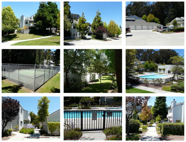 Complex Amenities - 2623 Willowbrook Ln