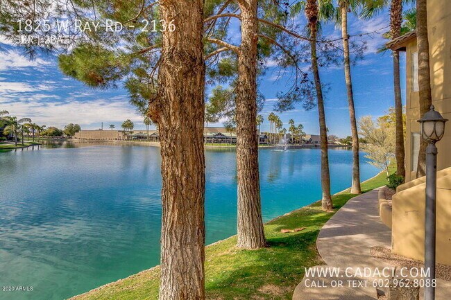 Foto del edificio - 1825 W Ray Rd