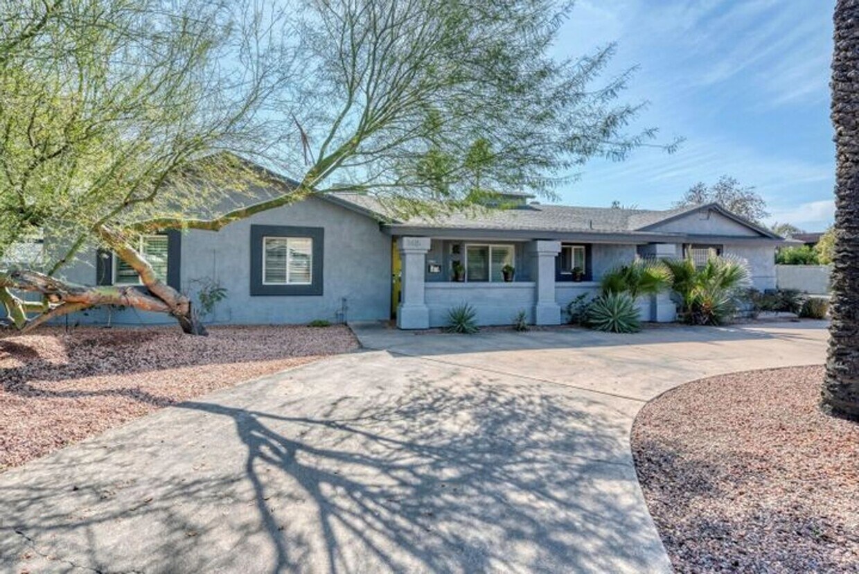 Primary Photo - Great Biltmore Area Location