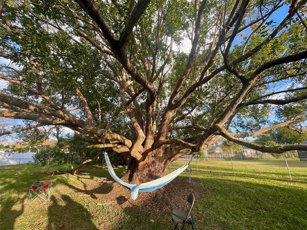 Foto del edificio - 950 Hedgewood Ct