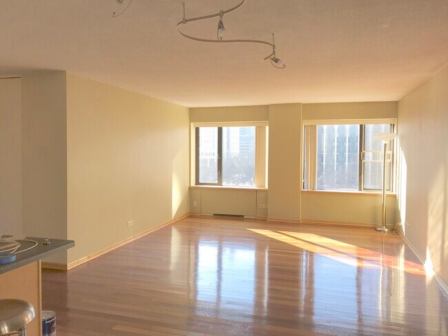 Living Room, south windows - 19 S 1st St