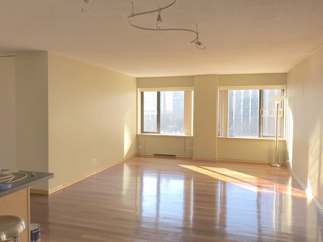 Living Room, south windows - 19 S 1st St