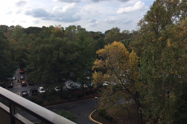 Balcony View - 5225 Pooks Hill Rd
