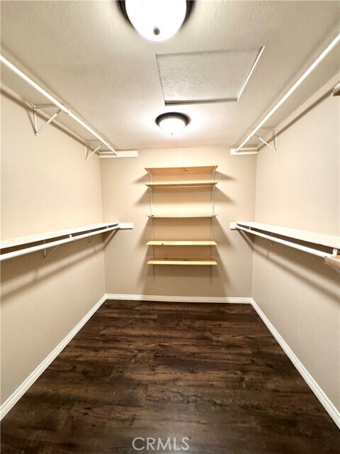 Building Photo - 1713 Shenandoah Dr