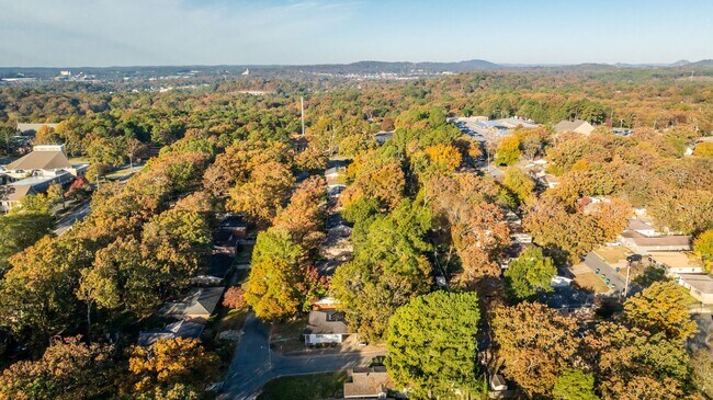 Foto del edificio - Midtown 3BR Near UAMS w/ Hardwoods, W/D, & Fenced Yard