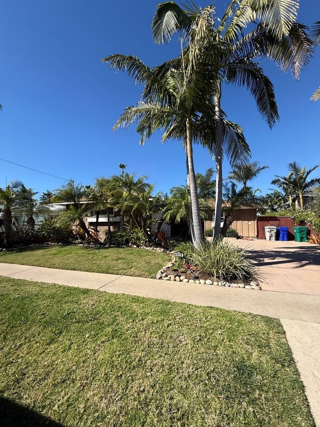 Building Photo - 3BD 2BA House in Kearny Mesa