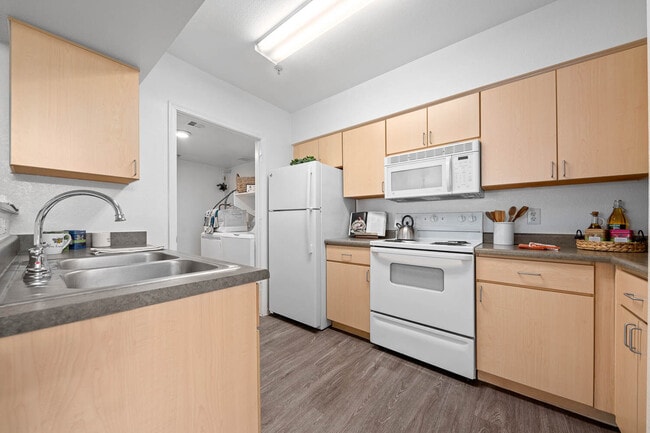 1 habitación, 1 baño - 812 pies cuadrados - Cocina - Monterra