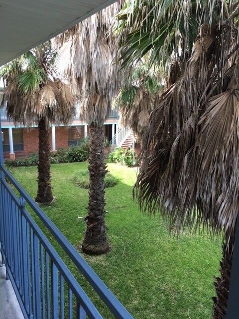 Foto del edificio - 709 Gale St