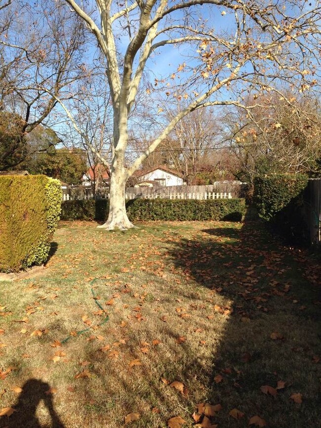 Building Photo - Updated 3 Bedroom 1.5 Bathroom Home in Desirable Arden Park!