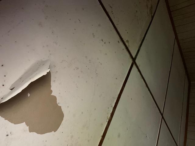 Building Photo - 23 Concord St