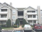 Foto principal - 14303 Grape Holly Grove