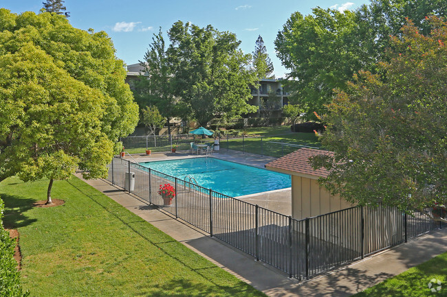 Pool - Mallard Creek Apartments