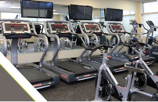 Gimnasio - The Alpine