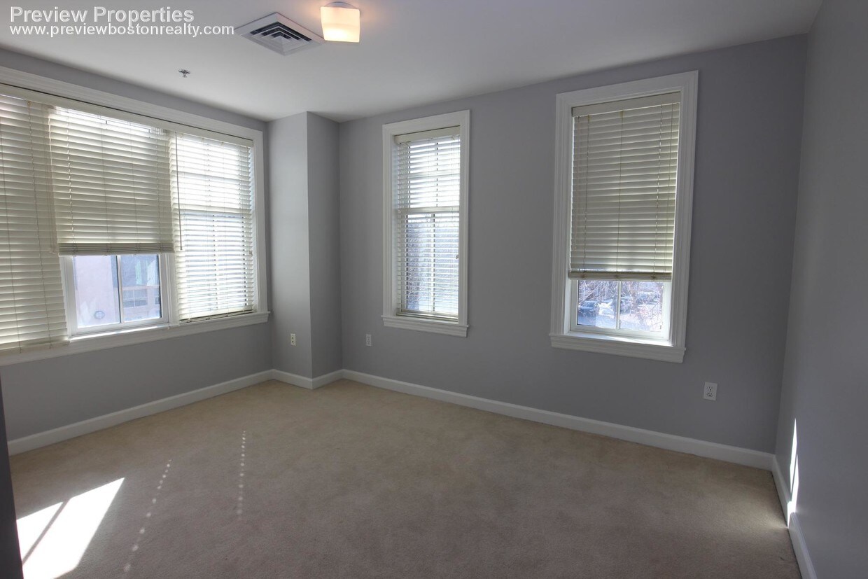 163 Chestnut Hill Ave Unit 202, Brighton, MA 02135 Condo for Rent in Brighton, MA