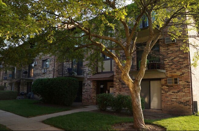 Building Photo - 230 Klein Creek Ct