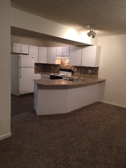 Gorgeous large kitchen with new countertops - 1402 3rd Ave