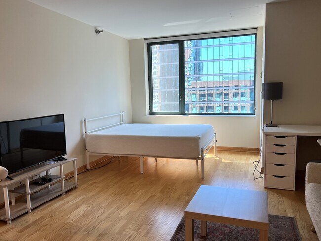 Building Photo - 440 N McClurg Ct