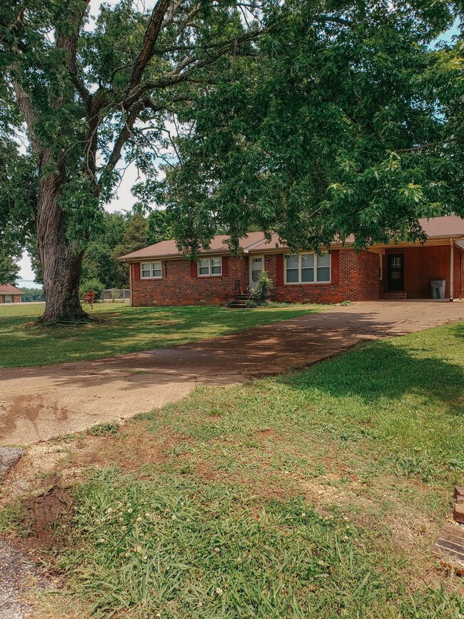 Front Yard - 260 Frances Dr