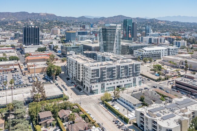 SV EL SEGUNDO TRIMESTRE - Ovelo Hollywood