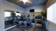 This single-floor fitness center is designed to provide a comprehensive cardio workout experience in a comfortable, purpose-built environment. The space is outfitted with a diverse selection of exercise equipment, including treadmills, elliptical trainers, and stationary bikes, offering users a range of options for their workout routines. Large wall-to-wall mirrors line the perimeter of the room, visually expanding the space and allowing users to monitor their form during exercise. A ceiling fan mounted overhead ensures steady air circulation throughout the facility, contributing to a comfortable workout environment. A wall-mounted flat-screen television is positioned for easy viewing from multiple equipment stations, providing entertainment during exercise sessions. The flooring features durable carpet suited for a fitness environment, while the light-colored walls and accent of greenery from a potted plant add a clean, welcoming atmosphere. Natural light filters in through a window, brightening the space. The overall layout is thoughtfully organized to maximize usable floor space while keeping the environment open and functional for multiple users simultaneously.