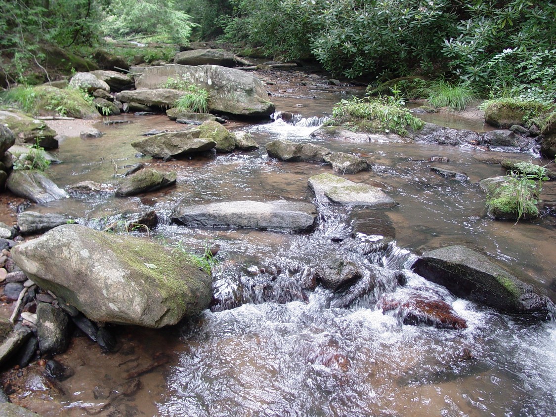 Primary Photo - Fall Creek Cabins