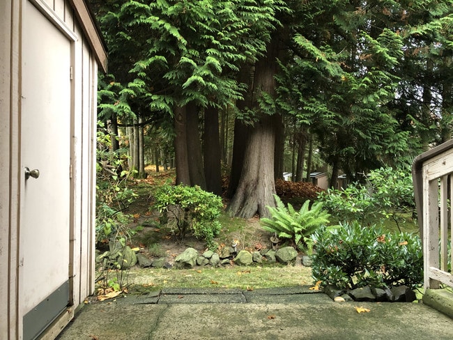 Back patio overlooking the greenbelt - 4121 145th Ave NE