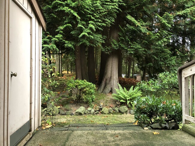 Patio trasero con vista al área verde - 4121 145th Ave NE