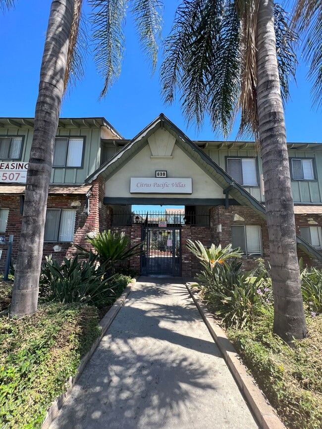 Building Photo - Citrus Pacific Villas