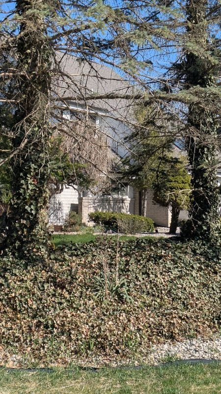 Building Photo - 30384 Castleford Ct