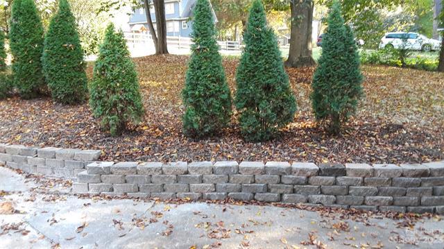 Building Photo - 303 Woodridge Dr