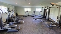 This fitness center offers a practical and well-organized workout space designed to accommodate a range of exercise needs. The room is finished with durable, multi-toned carpet flooring that spans the entire area, providing a functional surface suited to the demands of a gym environment. Recessed ceiling lighting ensures the space is evenly and brightly illuminated throughout. Several windows along the walls allow natural light to filter in, contributing to an open and energizing atmosphere. The cardio section is prominently featured, housing multiple treadmills lined up along the perimeter, as well as elliptical cross-trainers positioned for easy access. A multi-station cable and weight machine stands along one wall, offering users a comprehensive range of strength training options. A weight bench is also available, rounding out the resistance training equipment. The walls are painted in a clean, neutral tone that keeps the space feeling fresh and focused. A decorative potted plant adds a touch of greenery to the corner, softening the utilitarian aesthetic. Overall, the fitness center is thoughtfully arranged to maximize usable floor space while keeping all equipment accessible and clearly defined within the single-floor layout.