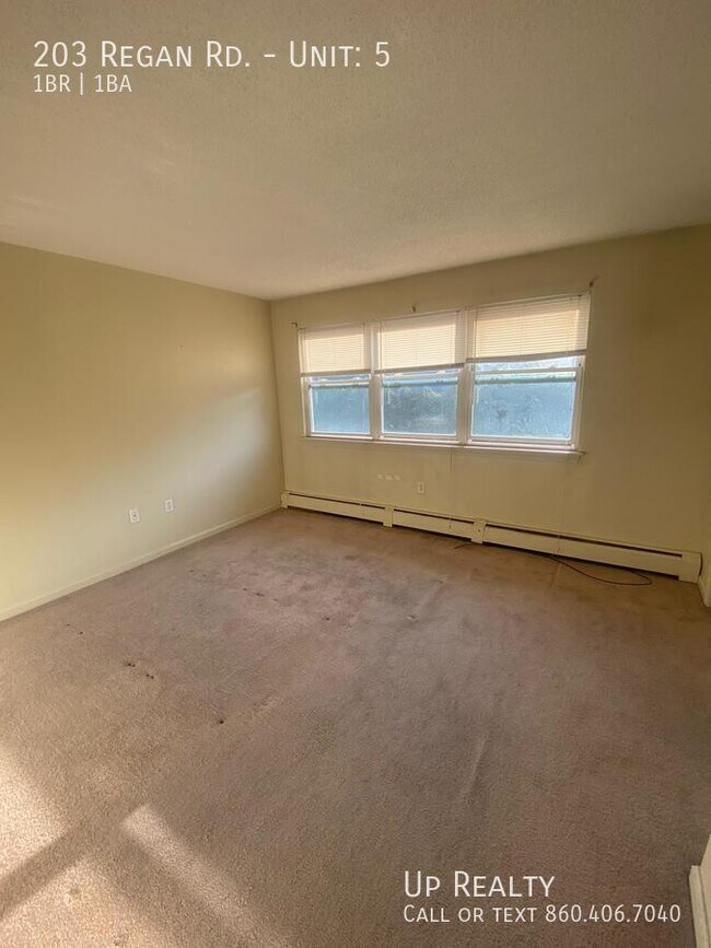 Foto del edificio - 203 Regan Rd