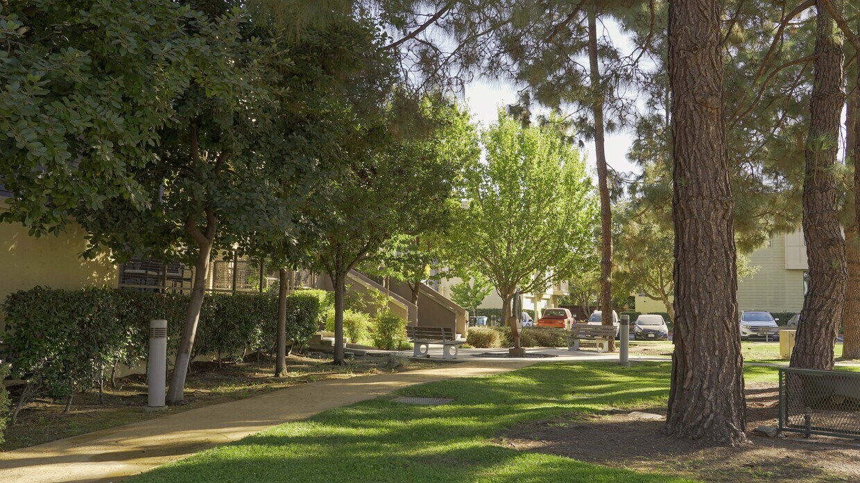 3722 Heron Way, Palo Alto, CA 94303 Townhome Rentals in Palo Alto CA