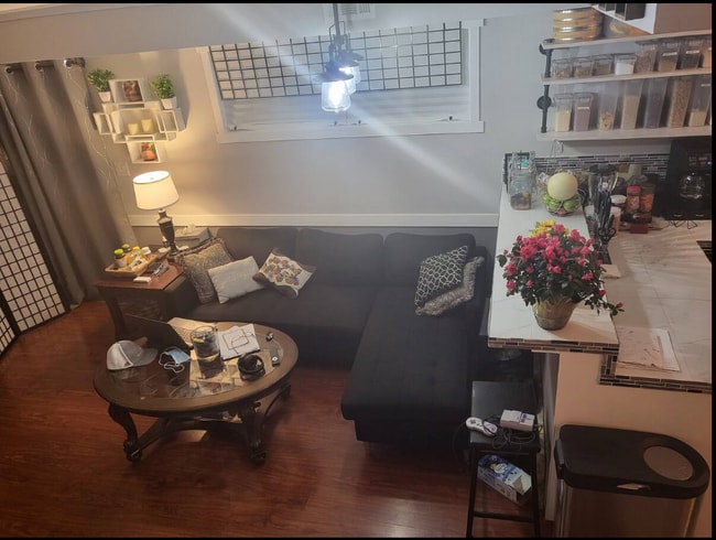 living /dining - 805 Tully Rd