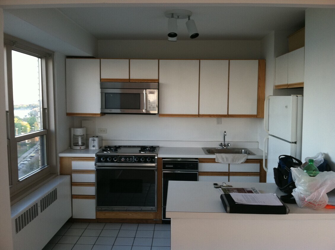 Kitchen - 3950 N Lake Shore Dr
