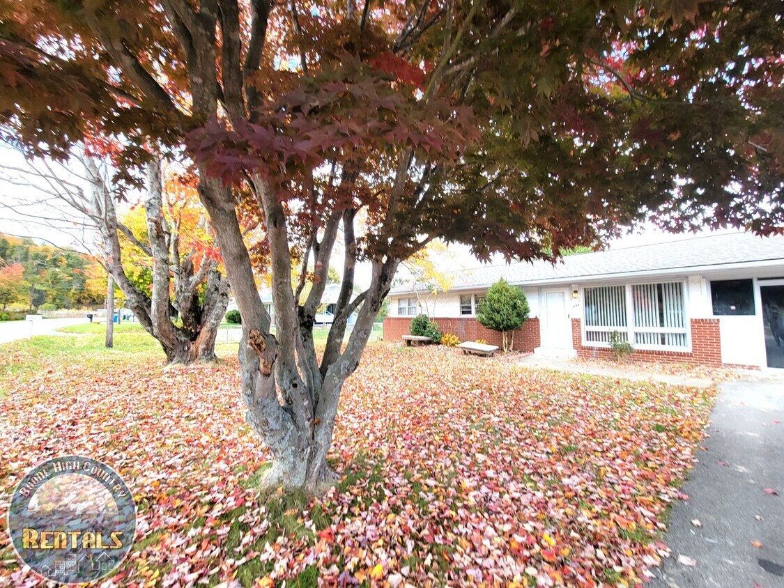 Primary Photo - 3 Bedroom Home Right In Town!