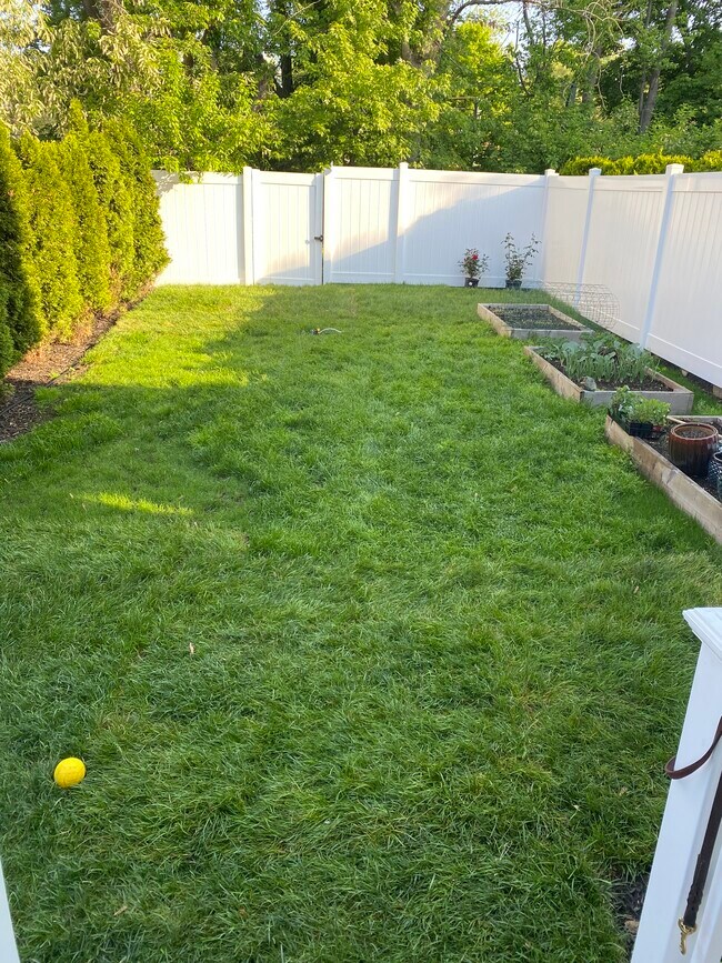 Cerca compartida en el patio trasero con camas Garden - 120-1 Coleridge St