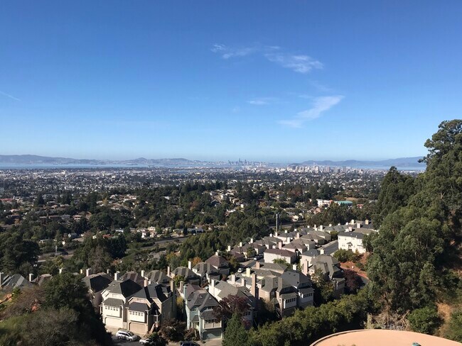 Day view - 23 Kingwood Rd