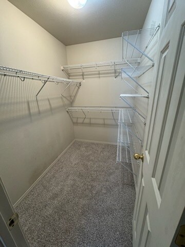 Foto del edificio - 4103 SW Chapelstone Ave