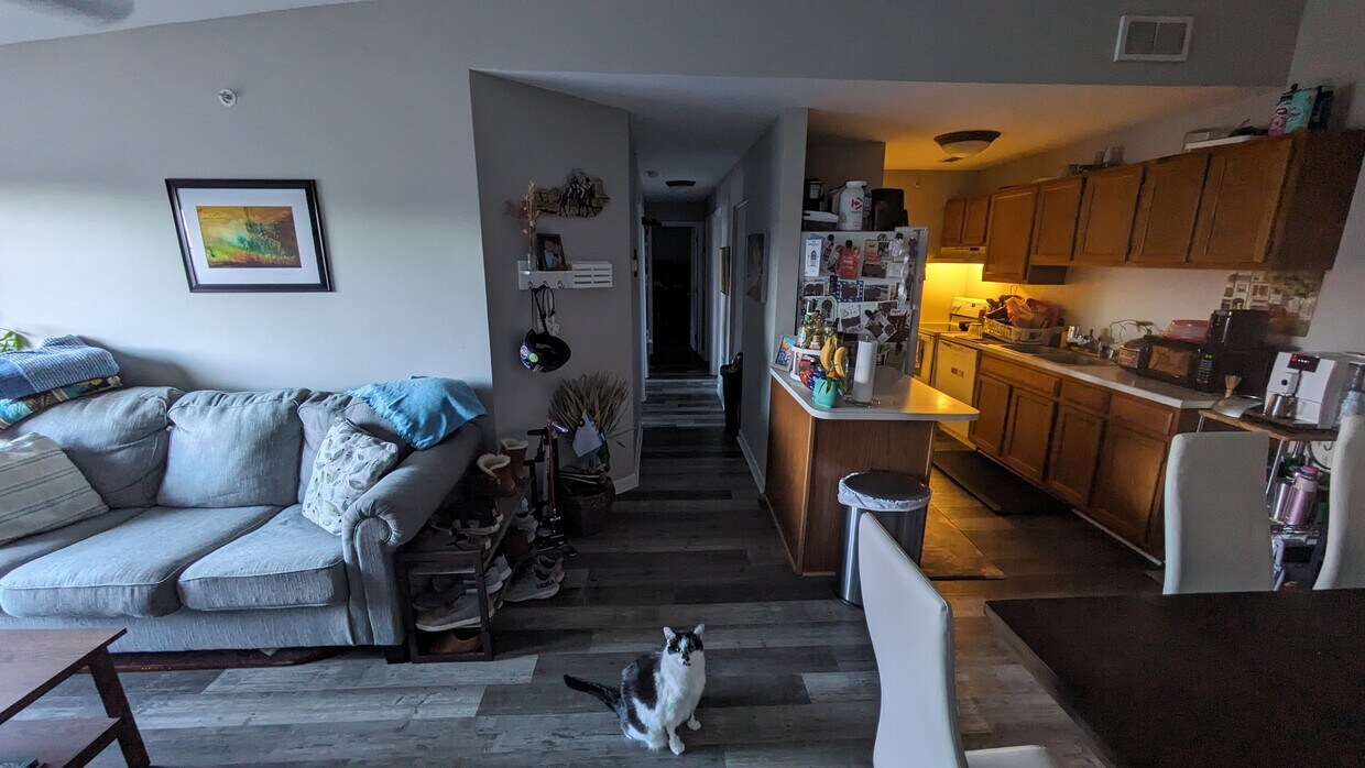 251 Simpson Ave Unit 318, Lexington, KY 40504 Condo for Rent in