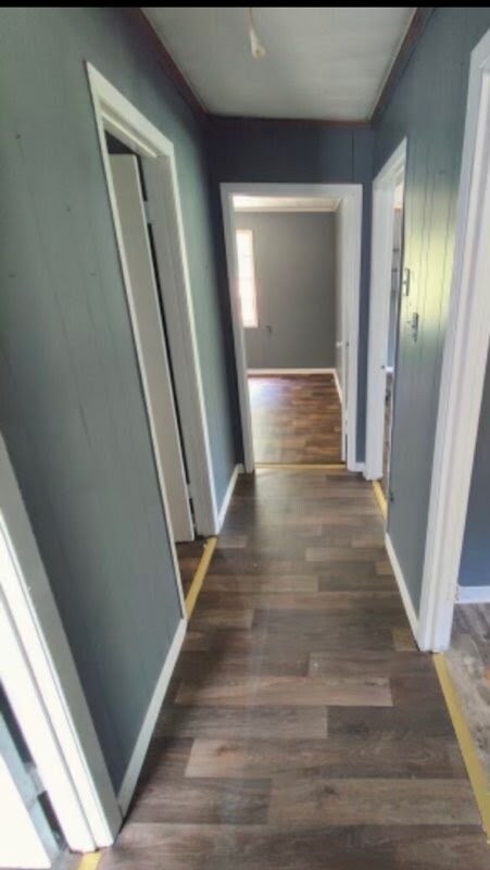 Foto del edificio - 1531 MS-9