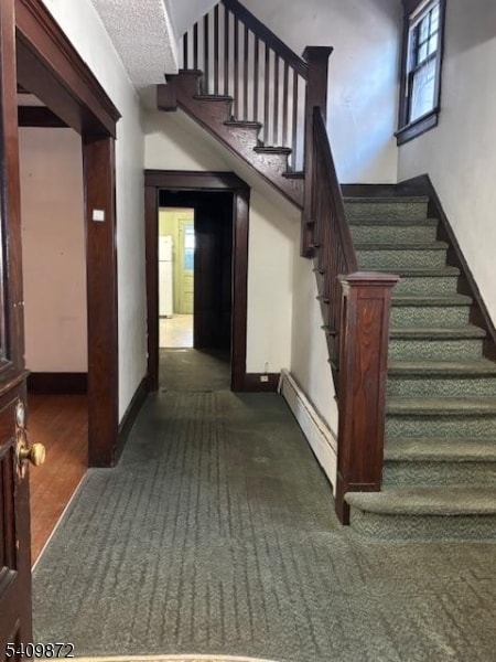 Foto del edificio - 15 Albion St