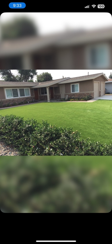Yard - 2192 American Ave
