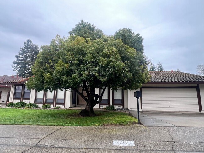 Foto del edificio - BEAUTIFUL 4 BEDROOM W/POOL IN FAIR OAKS!!